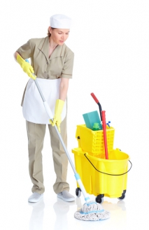 Making Cleaning Easier In Alternative Ways