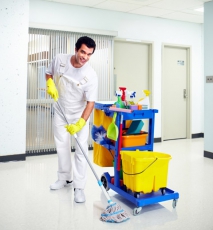 How To Clean Cat Urine Out Of A Carpet Effectively
